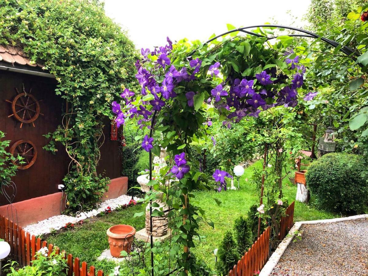 Casa Rosca Hotel Sighisoara Bagian luar foto