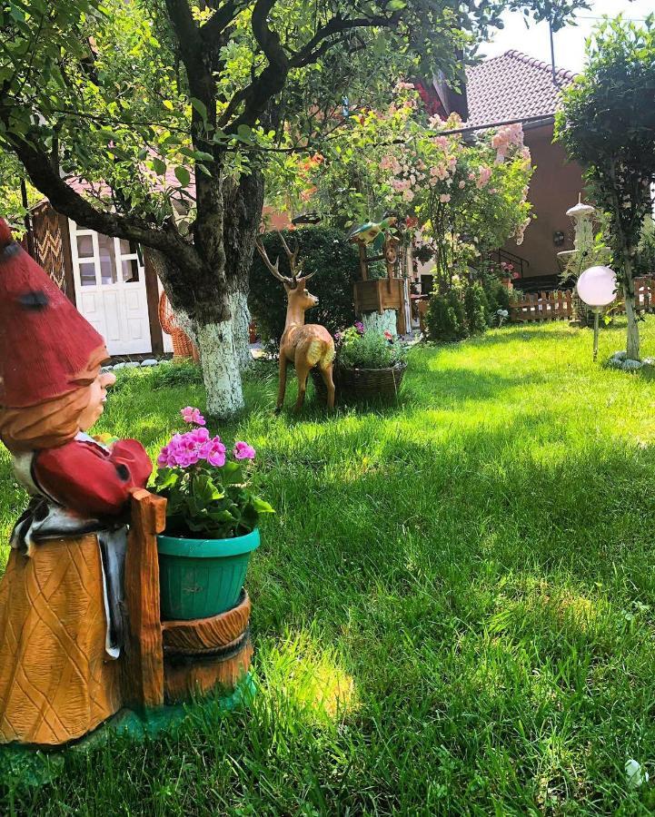 Casa Rosca Hotel Sighisoara Bagian luar foto